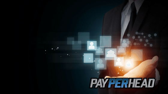 Price Per Tips: Layoff accounts