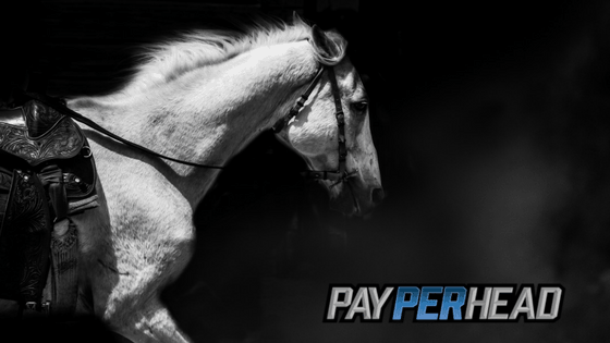 Preakness stakes