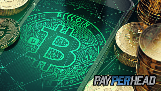 Bitcoin currency is a must-have for bookies.