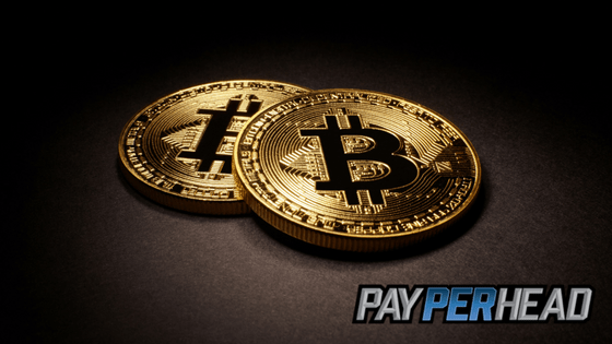 Bitcoin Deposits and Promotions