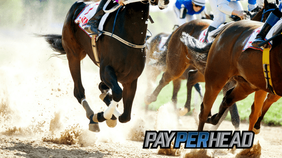 Horse Race Betting: Kentucky Derby Prep Races