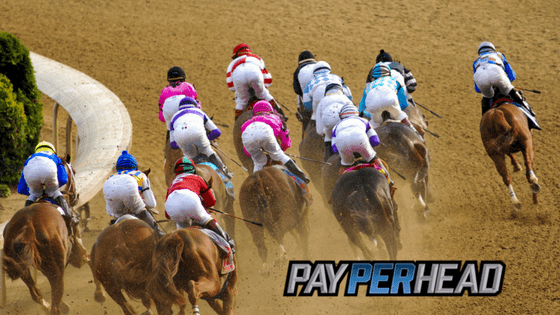 Kentucky Derby Furture Odds Update