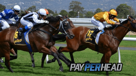 Promoting the 2018 Triple Crown Races
