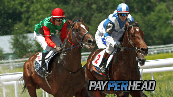 Online Racebook Management Tips