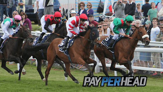 Generate More Profit With Derby Day