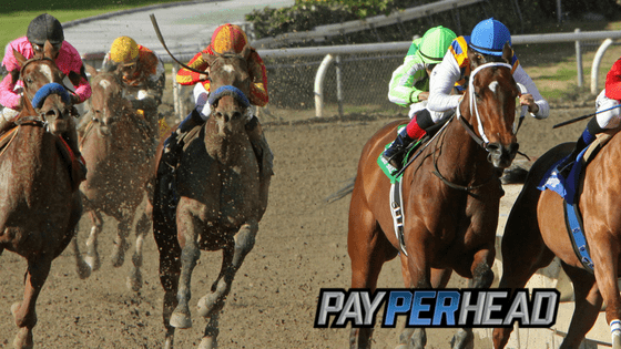 Preakness Stakes Prep For Bookies