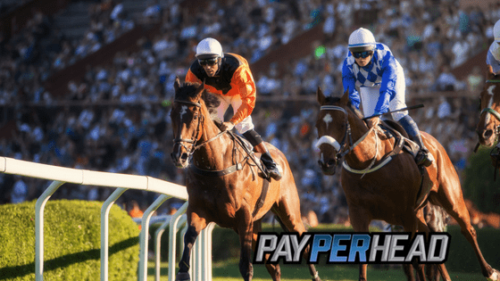 Racebook Preview - 2018 Belmost Stakes