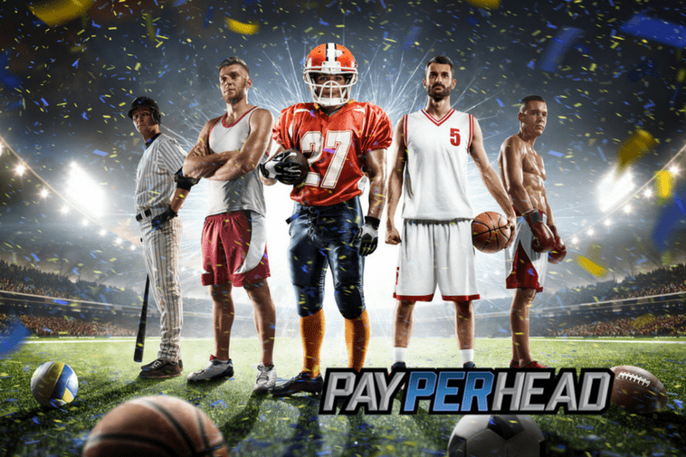 premium pay per head software 3 per head