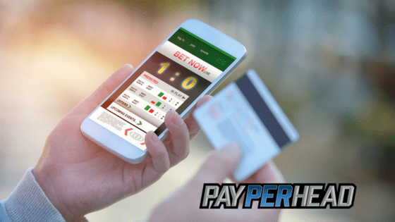 Premium pay per head software